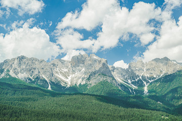 landscape view of alps mountains peak fir tree on background