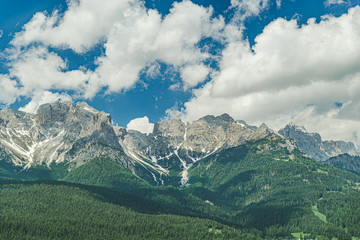 landscape view of alps mountains peak fir tree on background