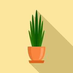 Long high leaf houseplant icon. Flat illustration of long high leaf houseplant vector icon for web design