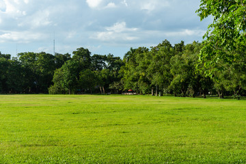 landscape of grass field and green environment public park use as natural background,backdrop