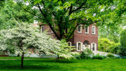 Fototapeta na wymiar Classic brock building with flowering tree and green grass Philadelphia
