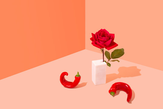 Single Red Rose with Chillis, Conceptual Studio Shot