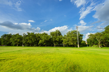 Fototapeta premium landscape of grass field and green environment public park use as natural background, backdrop.