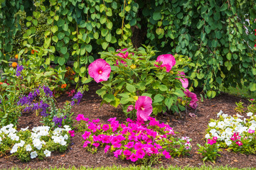 Landscape architecture for summer garden