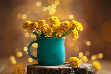 Beautiful yellow flower in blue cup on wooden table at bokeh  background, front view. Autumn still life with chrysanthemum flower. - obrazy, fototapety, plakaty