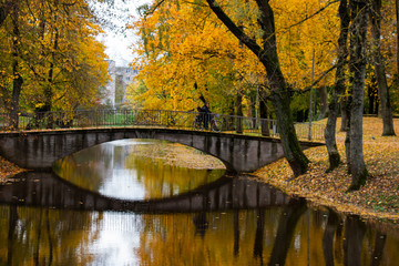 in the city autumn park the bridge over a small river
