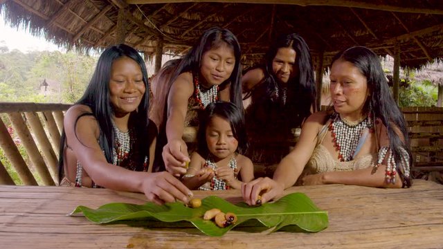 Amazonian Indigenous Child And Woman Eating Chontaduro Worms In Ecuador
