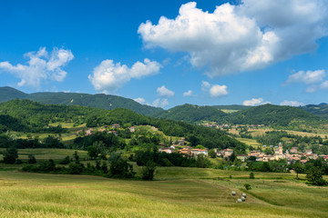 Fototapeta na wymiar Landscape of Passo del Pelizzone from Morfasso, Piacenza
