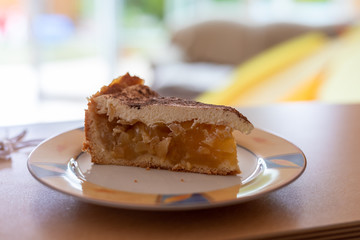 Piece of tasty apple pie on plate, closeup