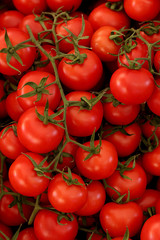 Red and large cluster tomatoes on the market
