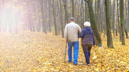 Happy senior couple in an autumn park