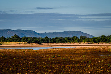 Am Ufer des Luangwa Rivers
