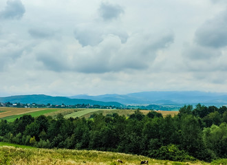 Carpathian hills during the rain with dramatic clouds