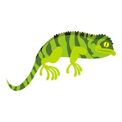Green chameleon icon. Cartoon of green chameleon vector icon for web design isolated on white background