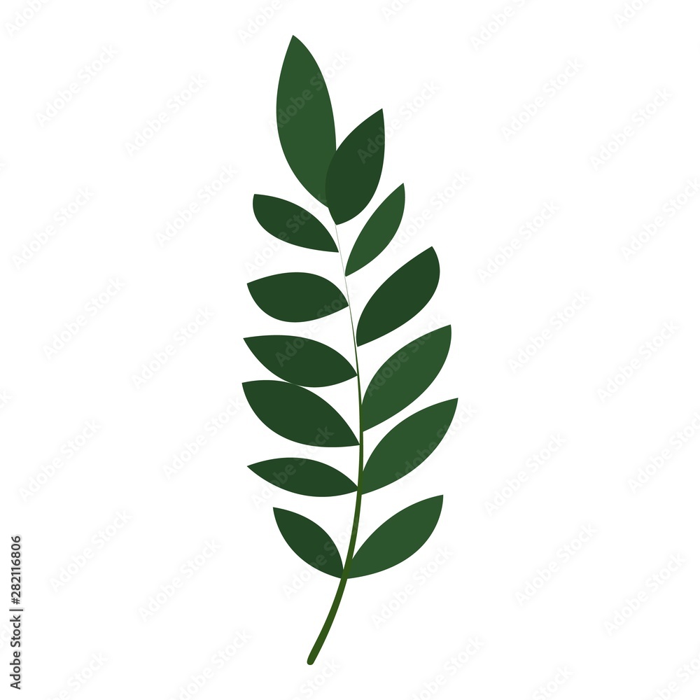 Poster exotic botany leaf icon. cartoon of exotic botany leaf vector icon for web design isolated on white 