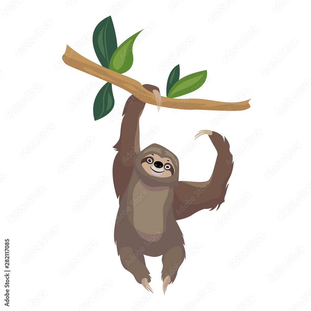Poster sloth on tree branch icon. cartoon of sloth on tree branch vector icon for web design isolated on wh