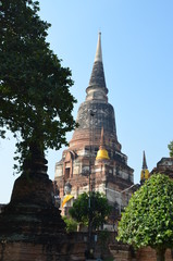 Fototapeta premium temple thailand