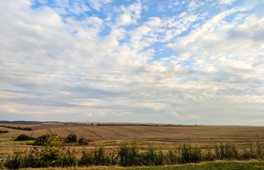 Obraz premium Agriculture fields in the summer season