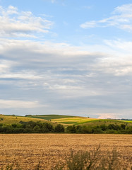 Obraz premium Agriculture fields in the summer season