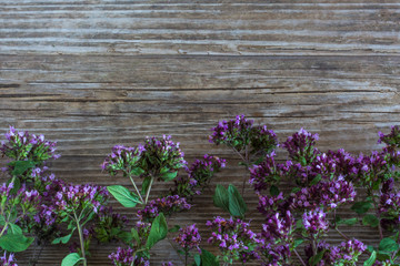 grass oregano flat lay on wooden background with copy space