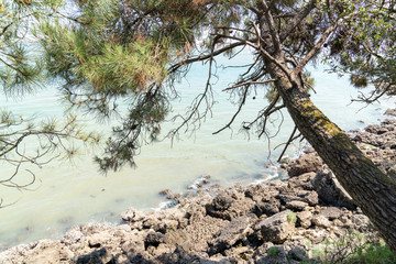 isolated beach on the island of Aix in Charente France