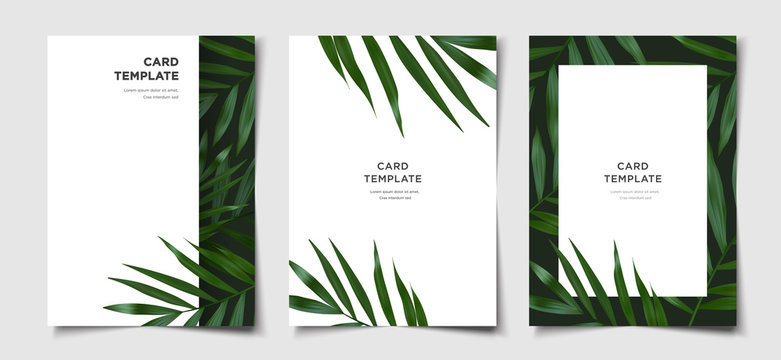 Set of minimal layout with gradient mesh summer tropical foliage cover, flyer, banner template vector