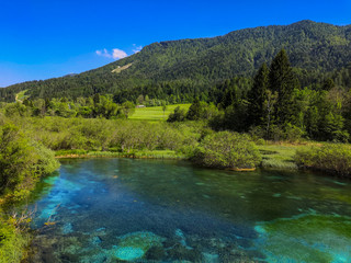 Fototapeta na wymiar Kranjska Gora Zelenci park. Lake Zelenci in Slovenia during spring.