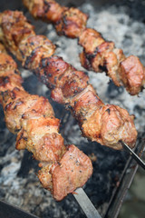 Barbecue.Juicy pieces of meat on skewers