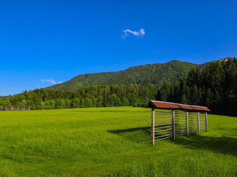Traditional slovenian hayrack "kozolec" at alpine meadow in Slovenia.