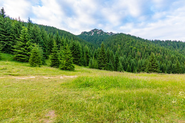 Fototapeta na wymiar Maly Rozsutec mountain in the Mala Fatra Slovakia national park. Tourist destination for outdoor activities, hiking, trekking. Summer day. Meadow and forest near big rock