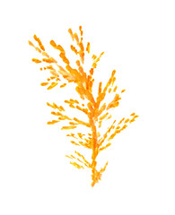 Watercolor yellow tree branch isolated on white background.Hand painting on paper. For wrapping paper, cards, posters, banners. Autumn holidays