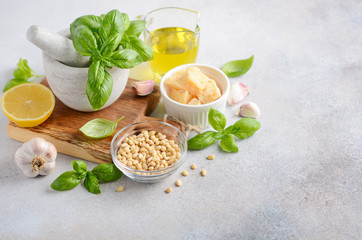 Ingredients for making green pesto sauce 