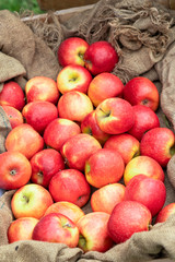 red apples in a basket