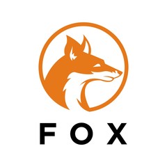 Obraz premium circle fox extracted for look logo