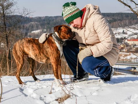 Mature Woman Walking With Dog Boxer On Winter Day