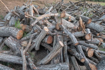 firewood on a wooden background
