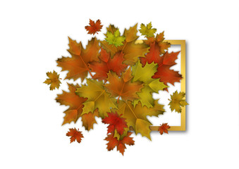 Bright red, yellow, orange maple leaves. The concept of a beautiful autumn.