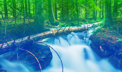 river rushing in a forest, natural colorized background