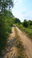 Fototapeta na wymiar Traveling road path full of relaxing green nature around