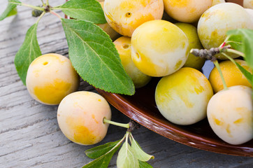 Ecologically grown yellow plums in a bowl. Close up of a pile of ripe sweet plums.