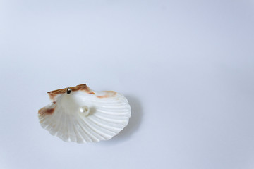 Naklejka premium one white beauty pearl inside of sea tropical shell on white background