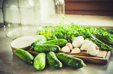 Preparation marinated conservation cucumbers with herbs, garlic, salt, and spice.