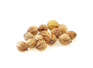 Coriander seeds isolated on white background, full depth of field.