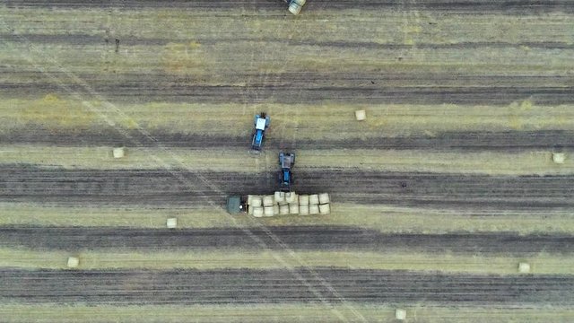 Aerial: Haymaking. Tractor collecting round bales of hay and loaded to truck. Agricultural Footage On the Field.