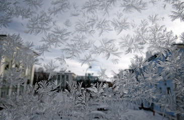 ice patterns on window glass