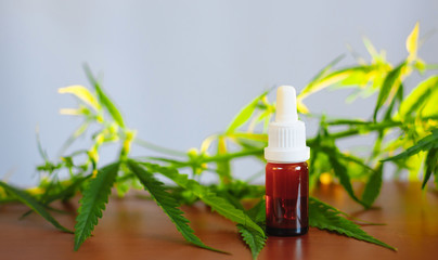 CBD oil cannabis extract. Hemp oil bottles and hemp flowers on wooden table. Medical cannabis...