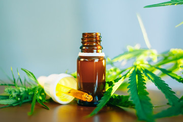 CBD oil cannabis extract. Hemp oil bottles and hemp flowers on wooden table. Medical cannabis concept. CBD Extract Tincture Liquid Dripping