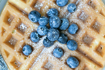 Close up of Blueberries on Belgian Waffle and Maple Syrup, Dusted with Powdered Sugar, Flay Lay on Marble Background, Copy Space
