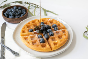 Maple Syrup pouring on Belgian waffle with blueberries, Dusted with Powdered Sugar, White Background, Copy Space