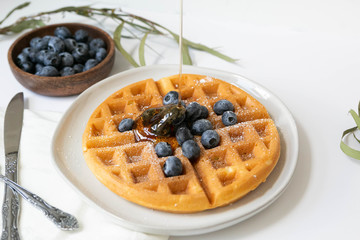 Maple Syrup pouring on Belgian waffle with blueberries, Dusted with Powdered Sugar, White Background, Copy Space